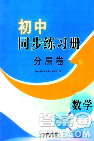 山東教育出版社2024年春初中同步練習(xí)冊分層卷七年級數(shù)學(xué)下冊通用版參考答案