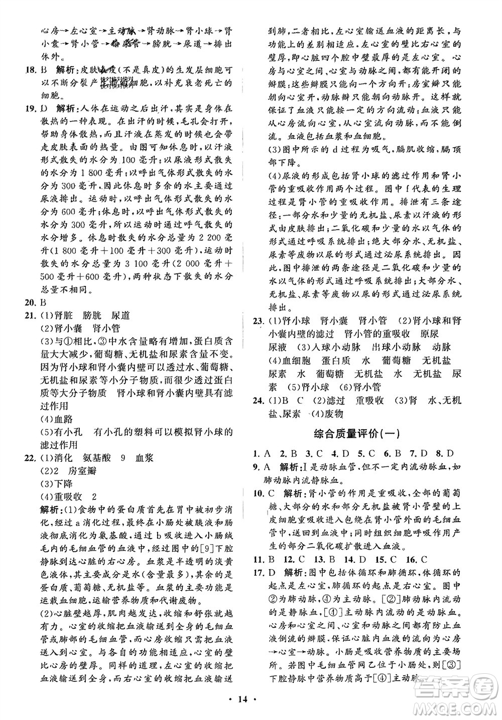 山東教育出版社2024年春初中同步練習(xí)冊(cè)分層卷七年級(jí)生物下冊(cè)通用版參考答案