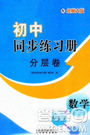 山東教育出版社2024年春初中同步練習冊分層卷七年級數(shù)學下冊北師大版參考答案