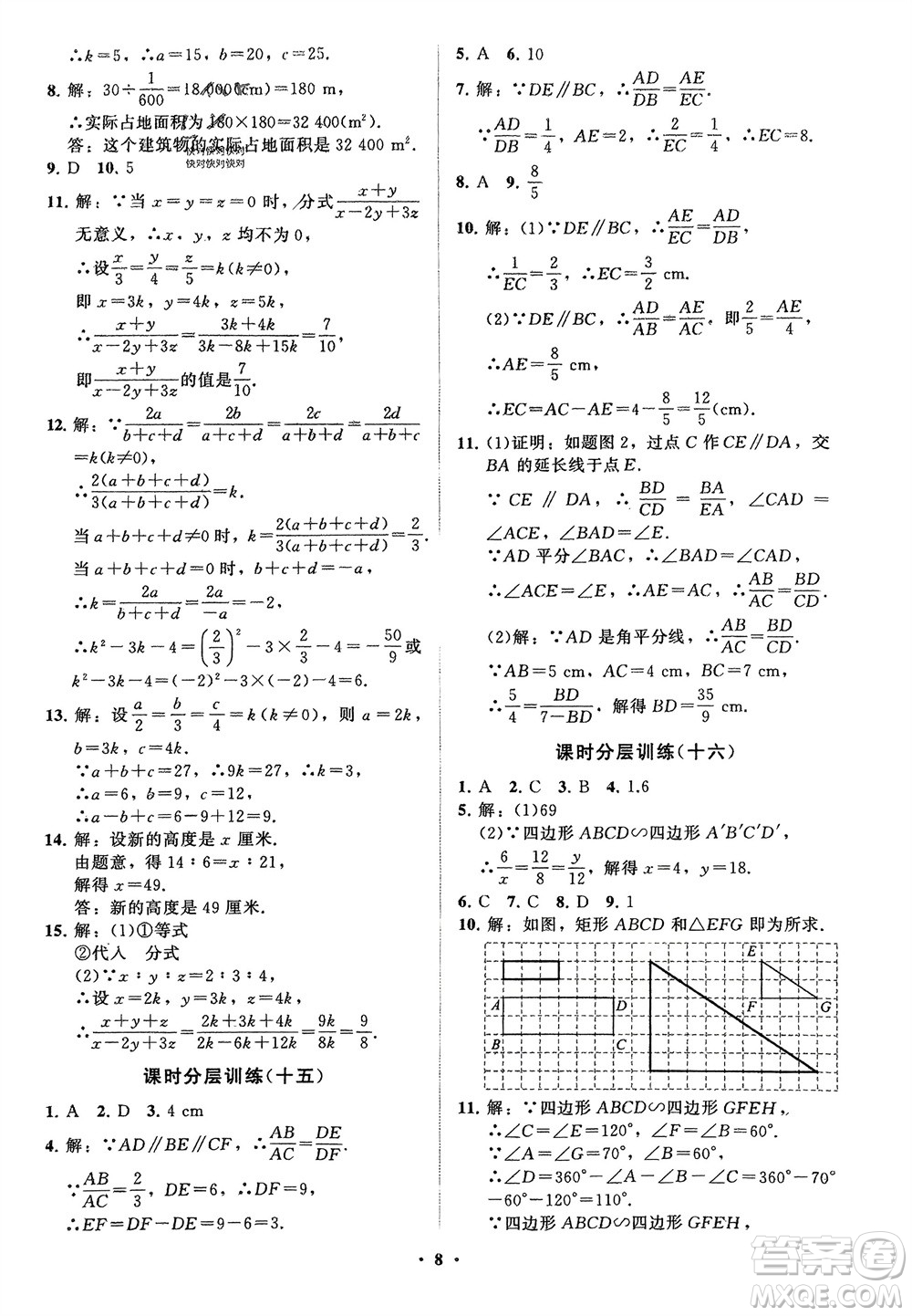 山東教育出版社2024年春初中同步練習(xí)冊(cè)分層卷八年級(jí)數(shù)學(xué)下冊(cè)五四學(xué)制魯教版參考答案