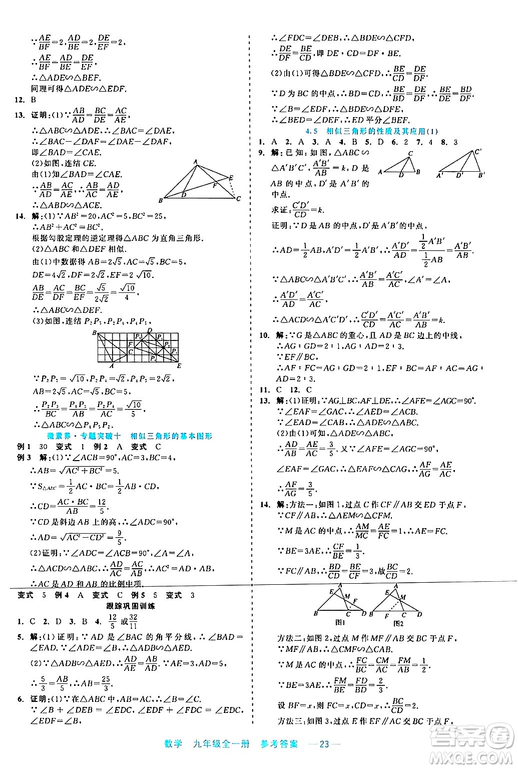 浙江工商大學(xué)出版社2024年春精彩練習(xí)就練這一本九年級(jí)數(shù)學(xué)下冊通用版答案