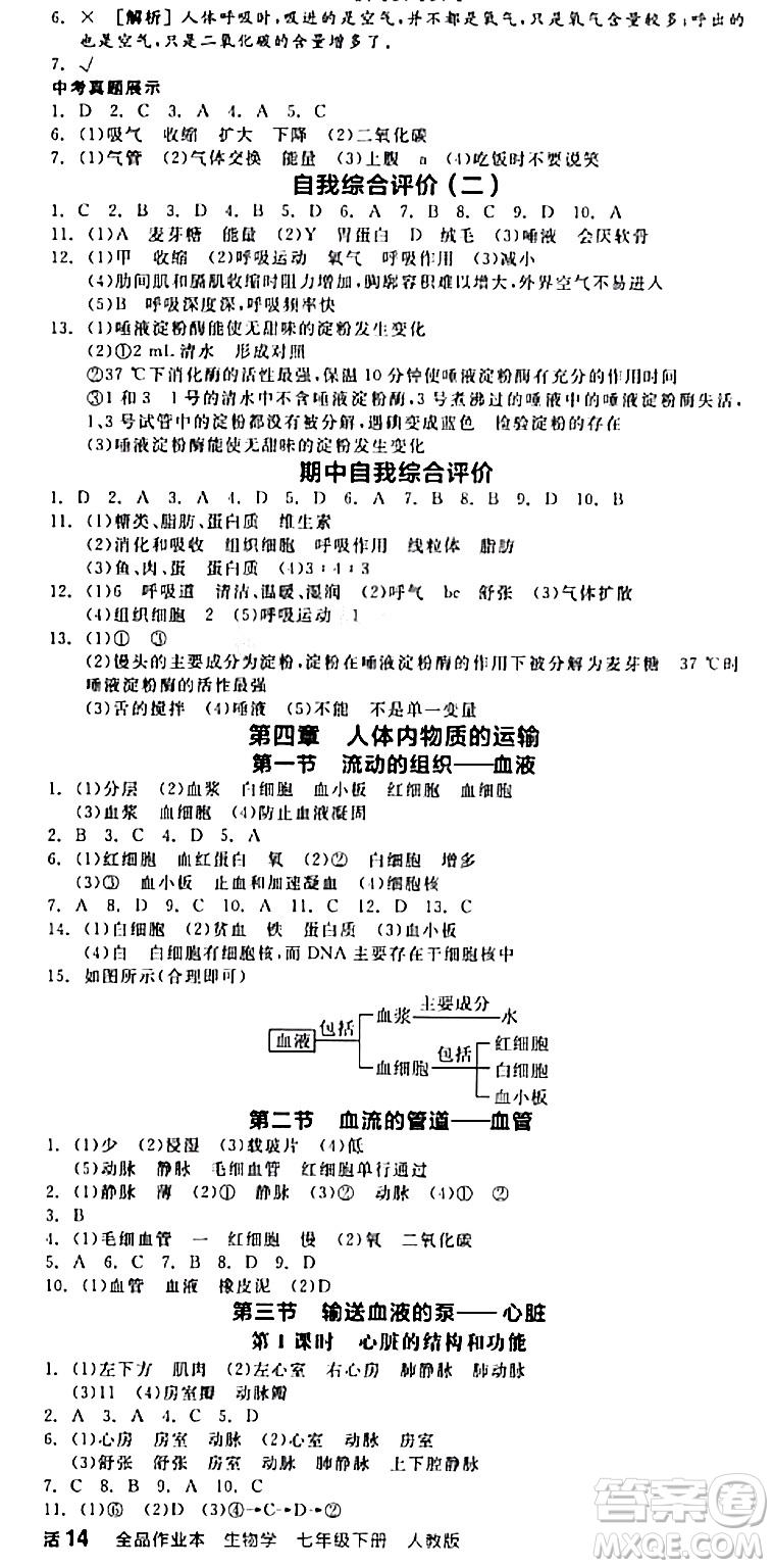 陽光出版社2024年春全品作業(yè)本七年級生物下冊人教版內(nèi)蒙古專版答案