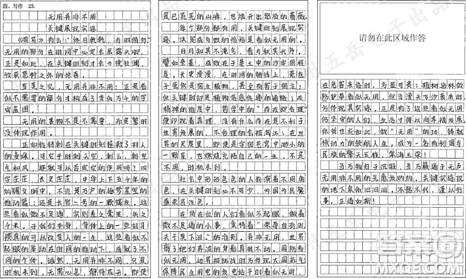 鈴鐺刺材料作文800字 關于鈴鐺刺的材料作文800字