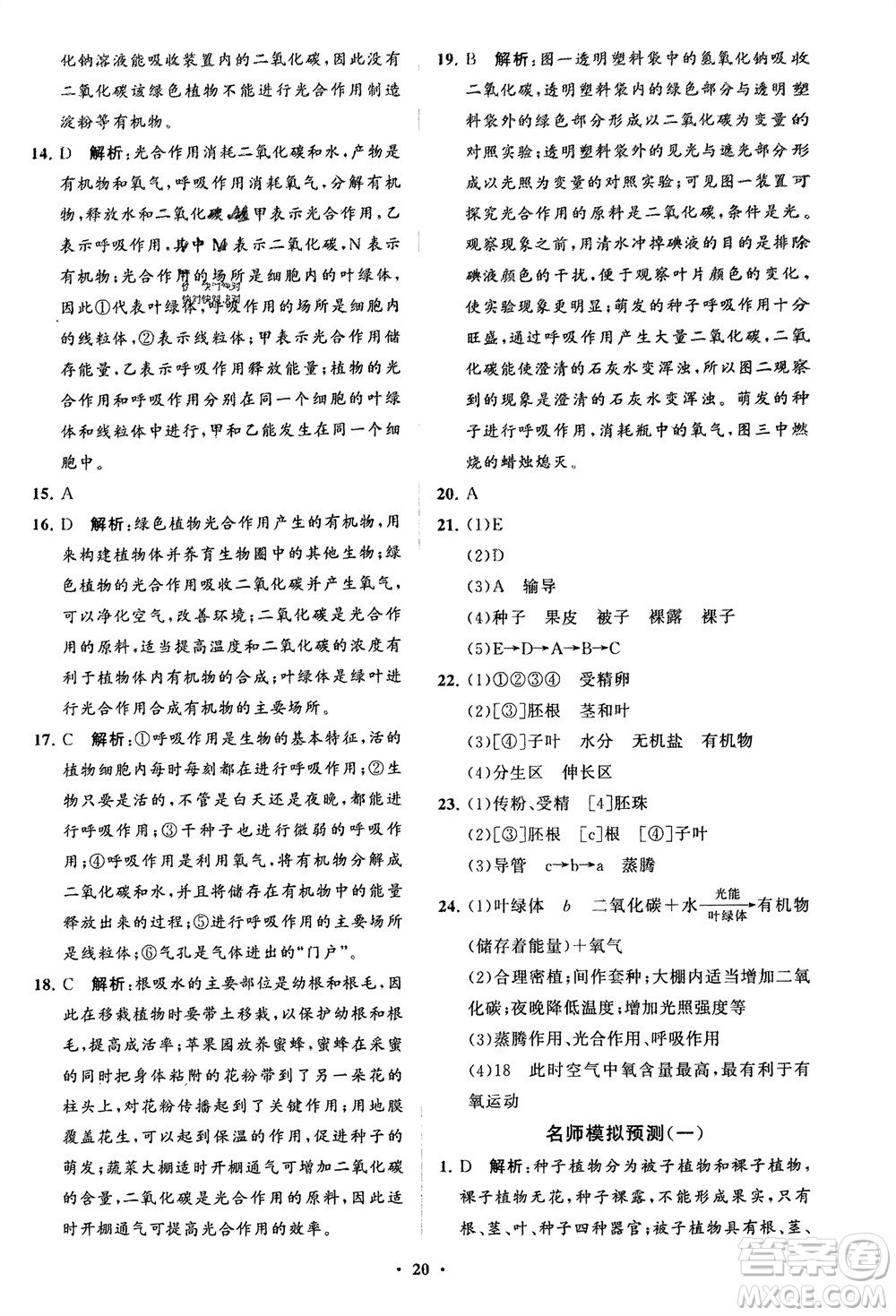 山東教育出版社2024年春初中同步練習冊分層卷六年級生物下冊五四制魯科版參考答案