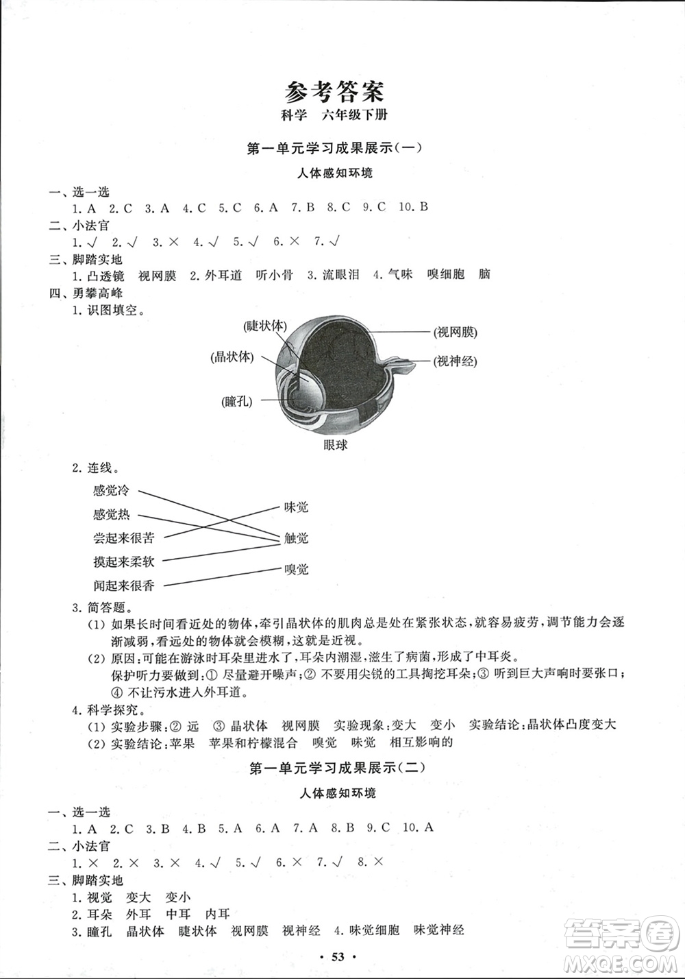 山東教育出版社2024年春小學(xué)同步練習(xí)冊(cè)分層指導(dǎo)六年級(jí)科學(xué)下冊(cè)通用版參考答案