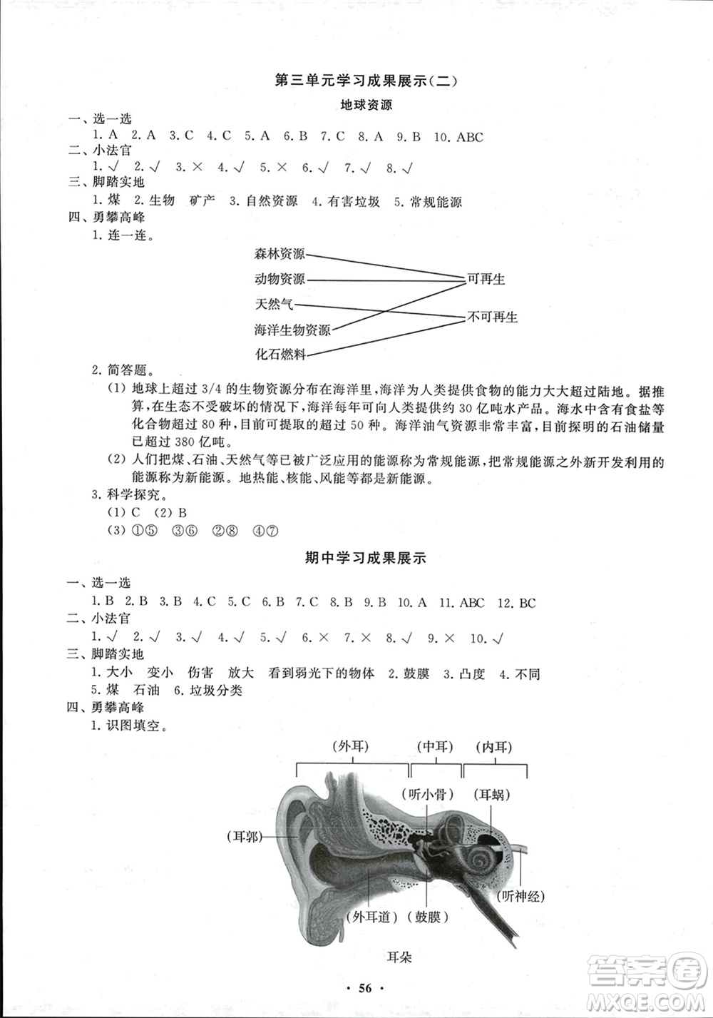 山東教育出版社2024年春小學(xué)同步練習(xí)冊(cè)分層指導(dǎo)六年級(jí)科學(xué)下冊(cè)通用版參考答案