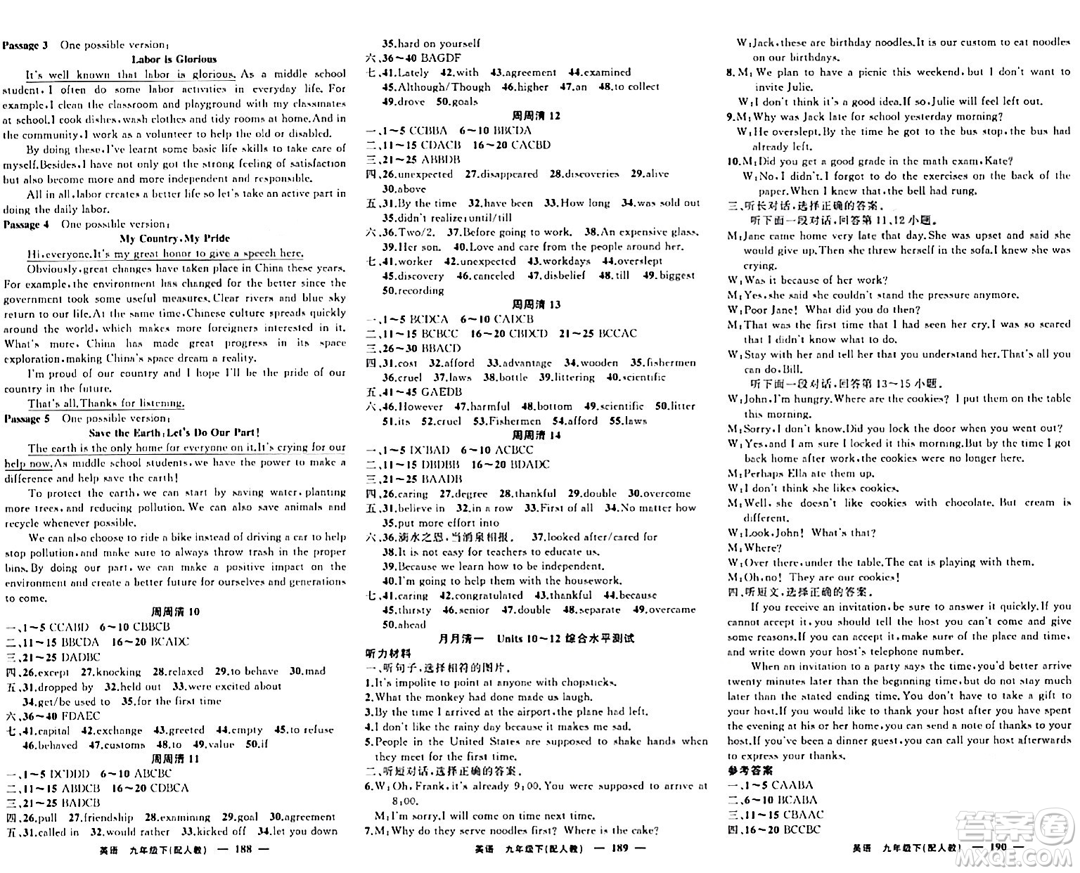 新疆青少年出版社2024年春四清導(dǎo)航九年級英語下冊人教版答案