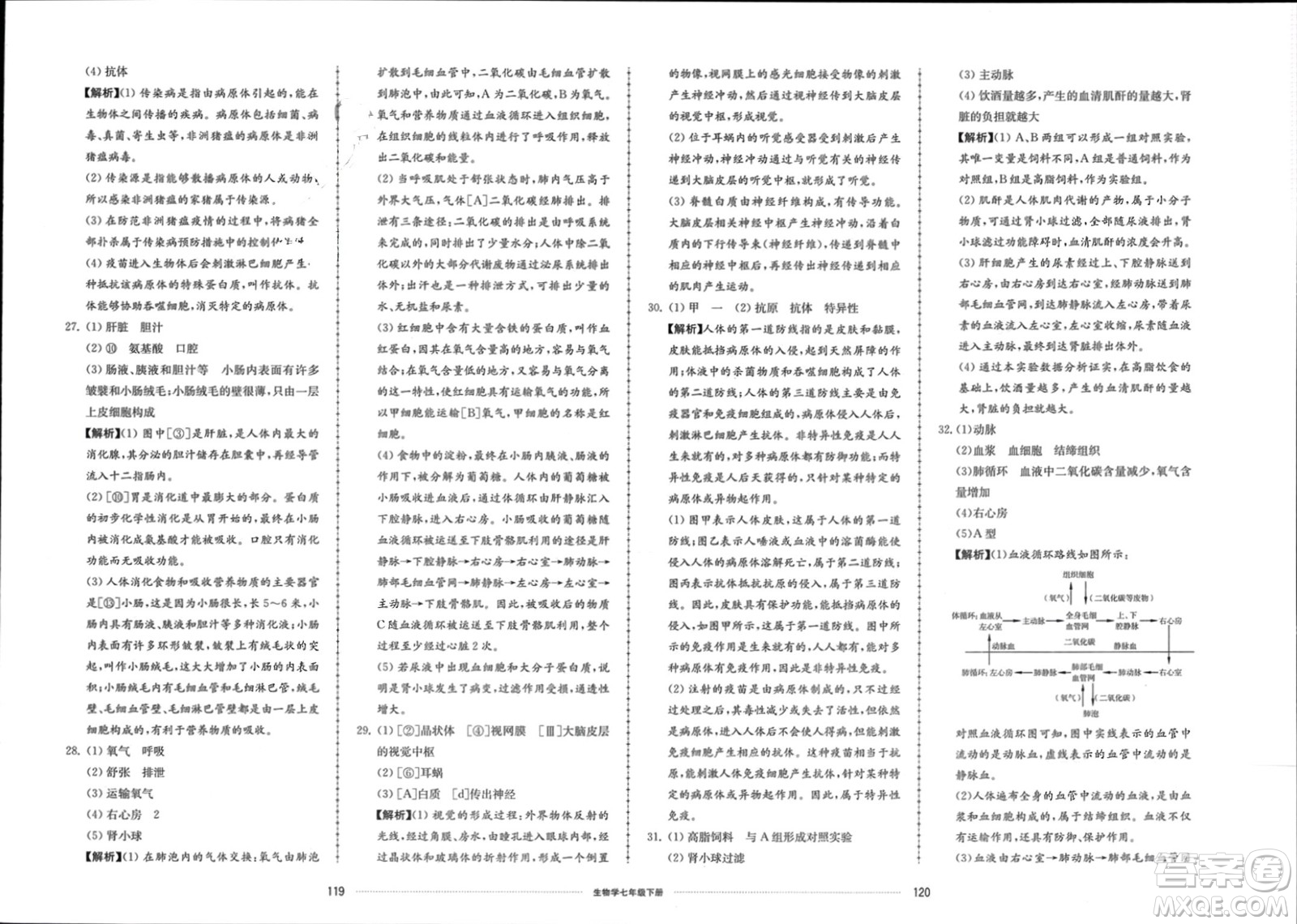 山東科學(xué)技術(shù)出版社2024年春同步練習(xí)冊(cè)配套單元檢測(cè)卷七年級(jí)生物下冊(cè)通用版參考答案