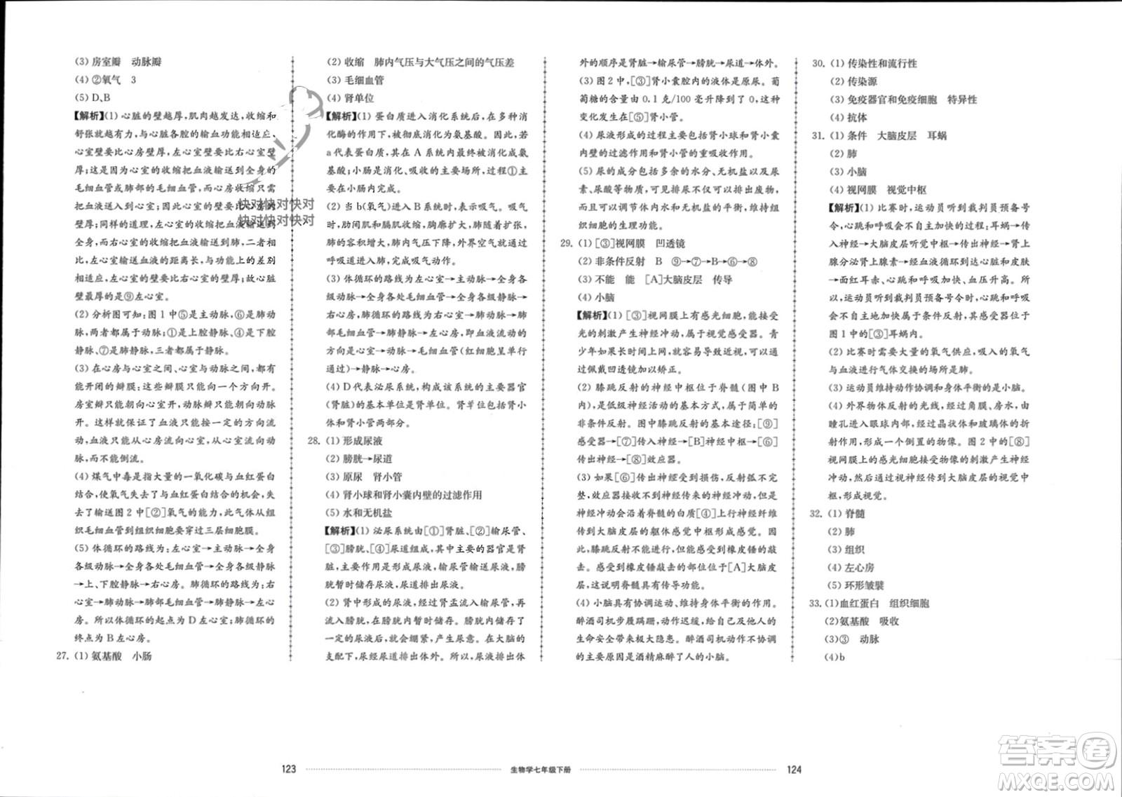 山東科學(xué)技術(shù)出版社2024年春同步練習(xí)冊(cè)配套單元檢測(cè)卷七年級(jí)生物下冊(cè)通用版參考答案