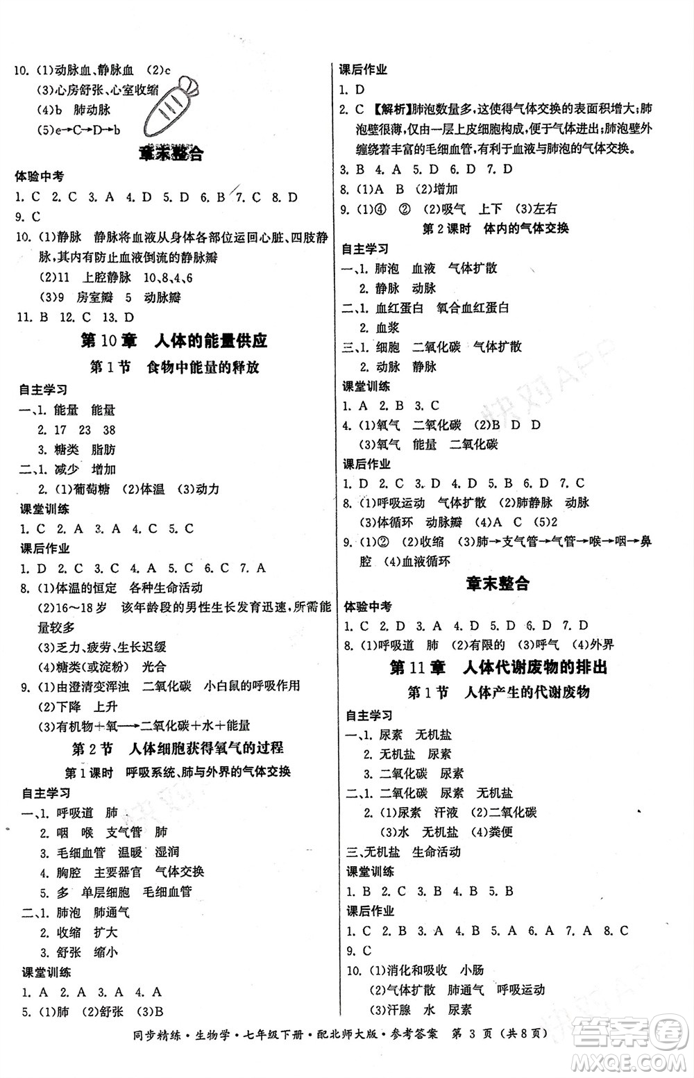 廣東人民出版社2024年春同步精練七年級(jí)生物下冊(cè)北師大版參考答案