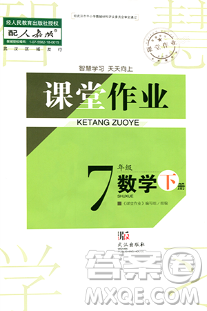 武漢出版社2024年春智慧學習天天向上課堂作業(yè)七年級數(shù)學下冊人教版答案