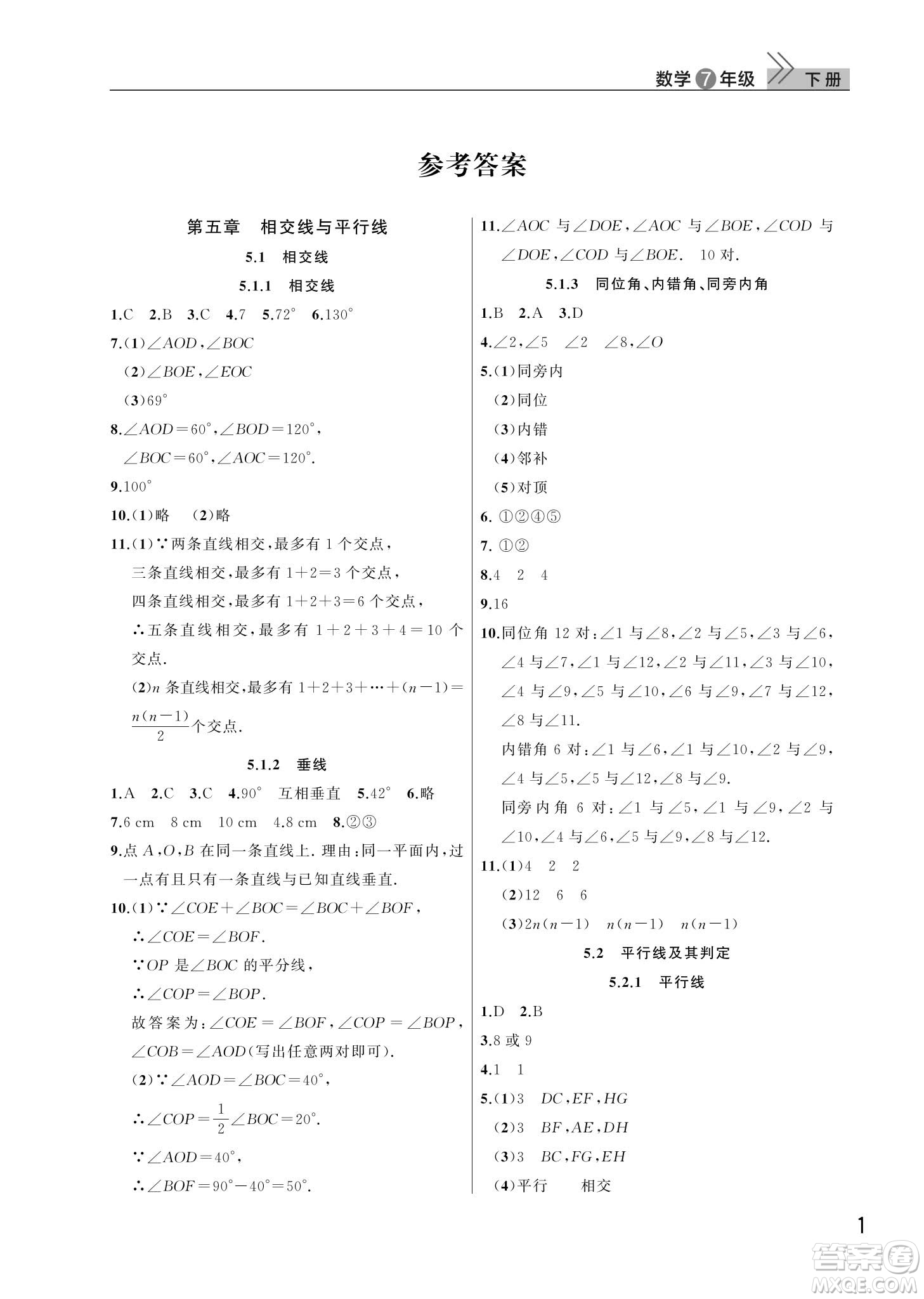 武漢出版社2024年春智慧學習天天向上課堂作業(yè)七年級數(shù)學下冊人教版答案