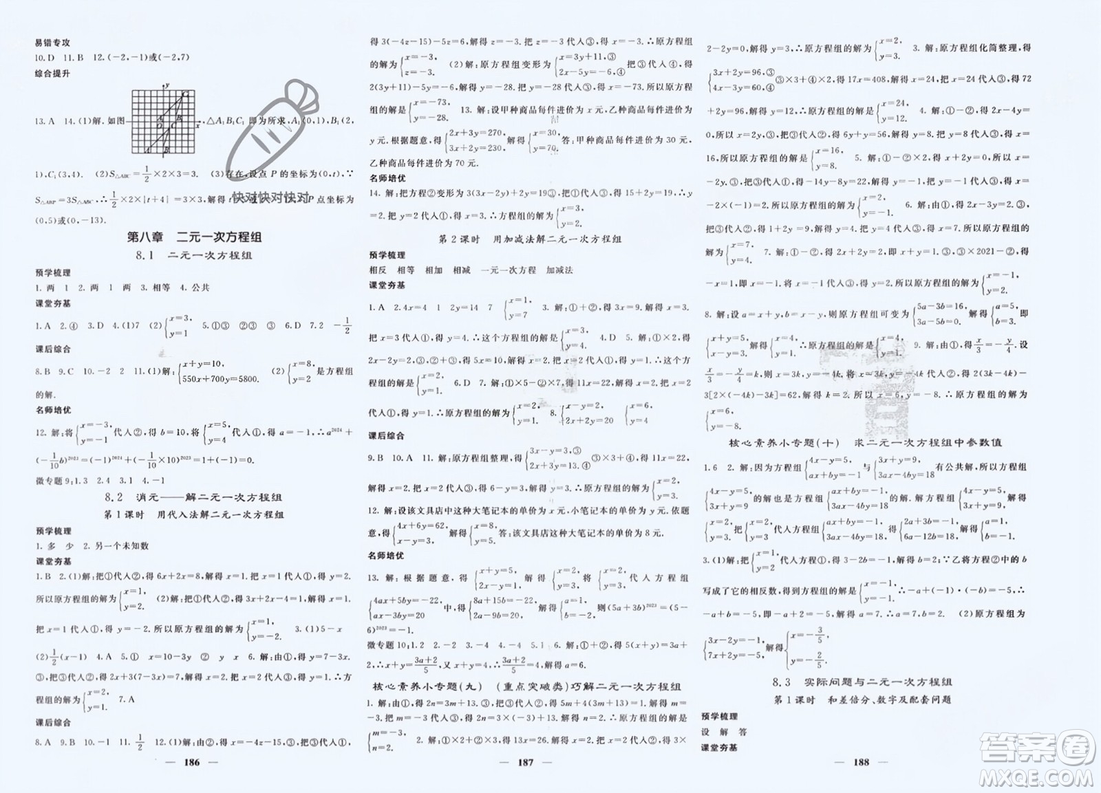 長江少年兒童出版社2024年春名校課堂內外七年級數(shù)學下冊人教版參考答案