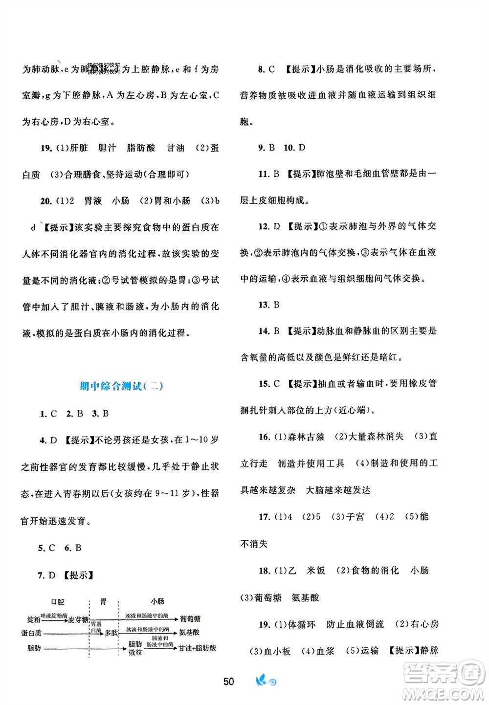 廣西師范大學(xué)出版社2024年春新課程學(xué)習(xí)與測評(píng)單元雙測七年級(jí)生物下冊A版人教版參考答案