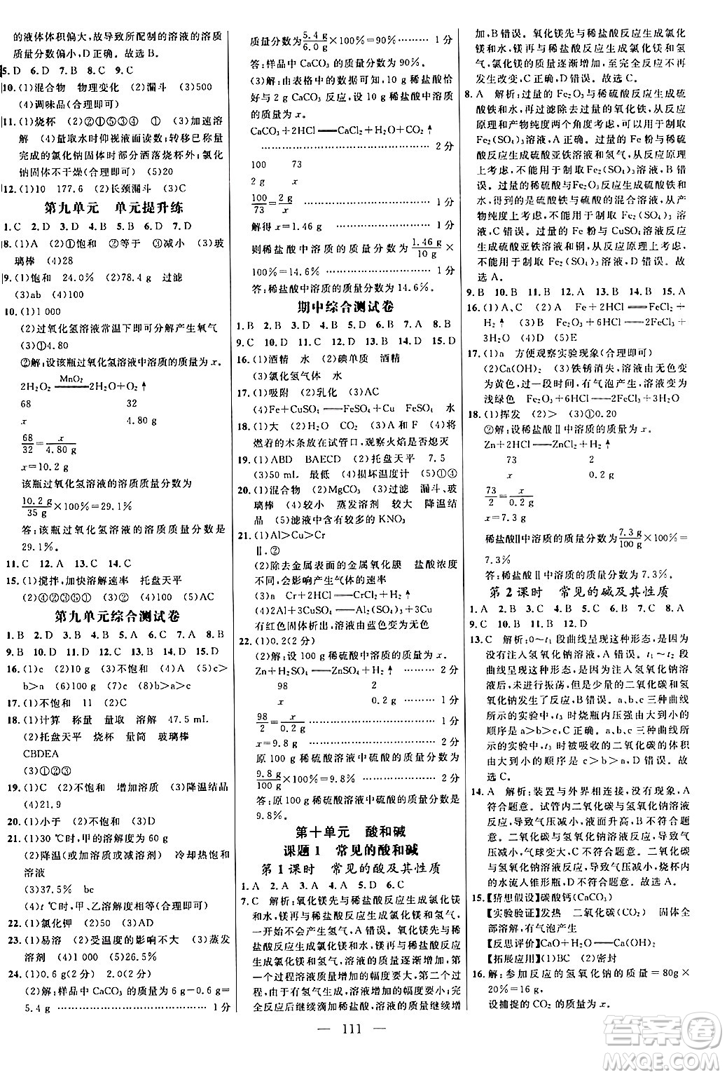 延邊大學(xué)出版社2024年春細(xì)解巧練九年級(jí)化學(xué)下冊(cè)人教版答案