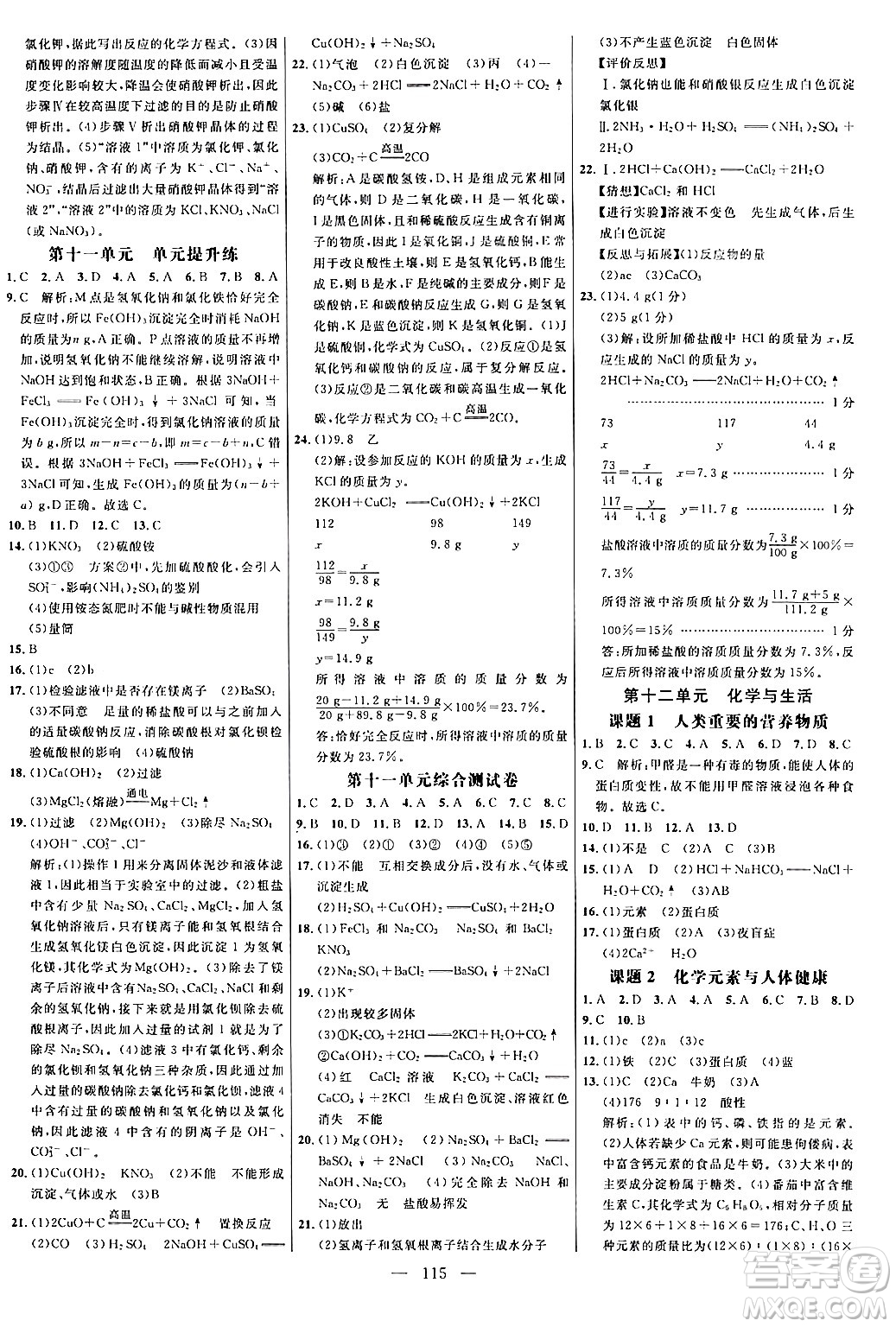 延邊大學(xué)出版社2024年春細(xì)解巧練九年級(jí)化學(xué)下冊(cè)人教版答案