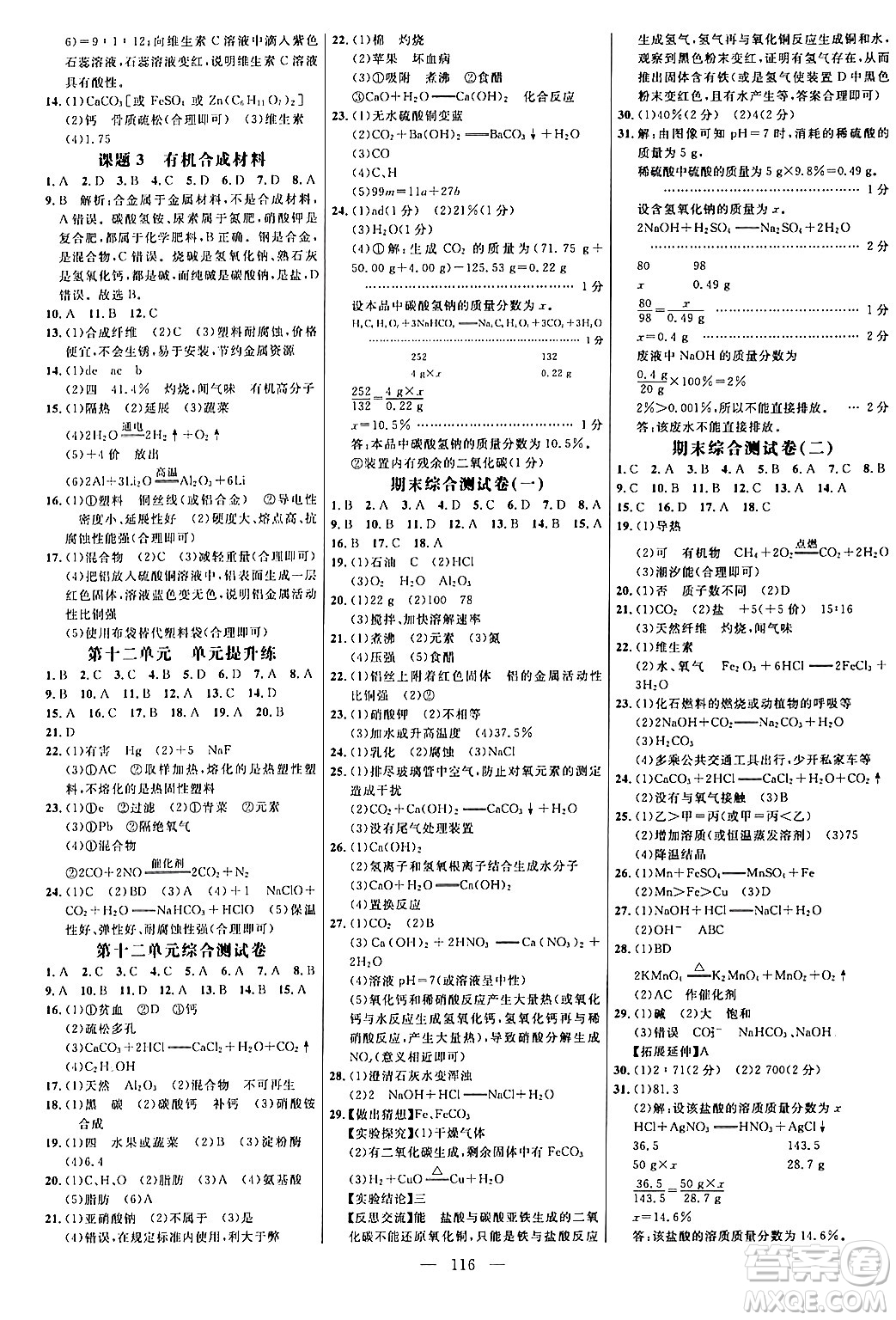 延邊大學(xué)出版社2024年春細(xì)解巧練九年級(jí)化學(xué)下冊(cè)人教版答案