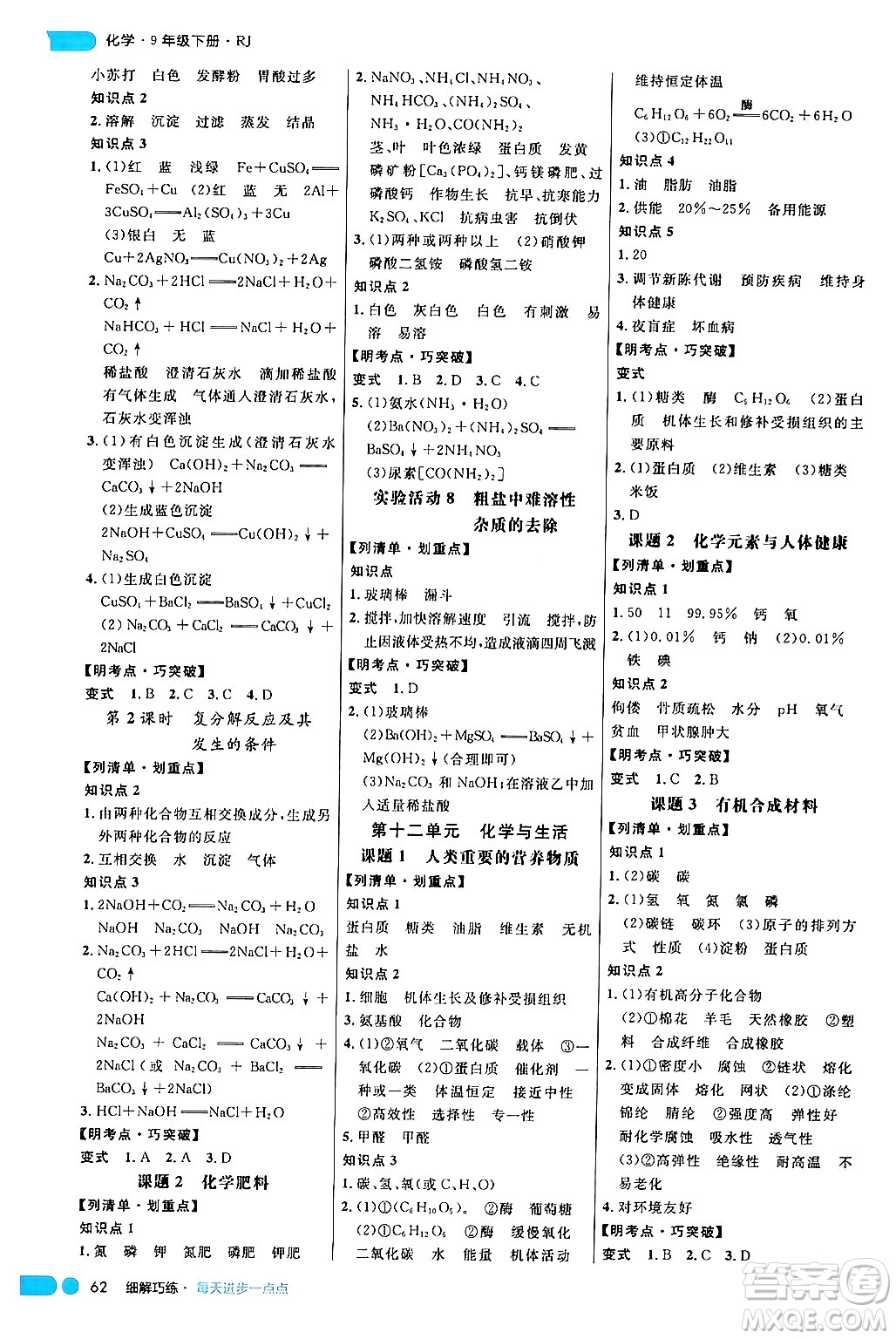 延邊大學(xué)出版社2024年春細(xì)解巧練九年級(jí)化學(xué)下冊(cè)人教版答案