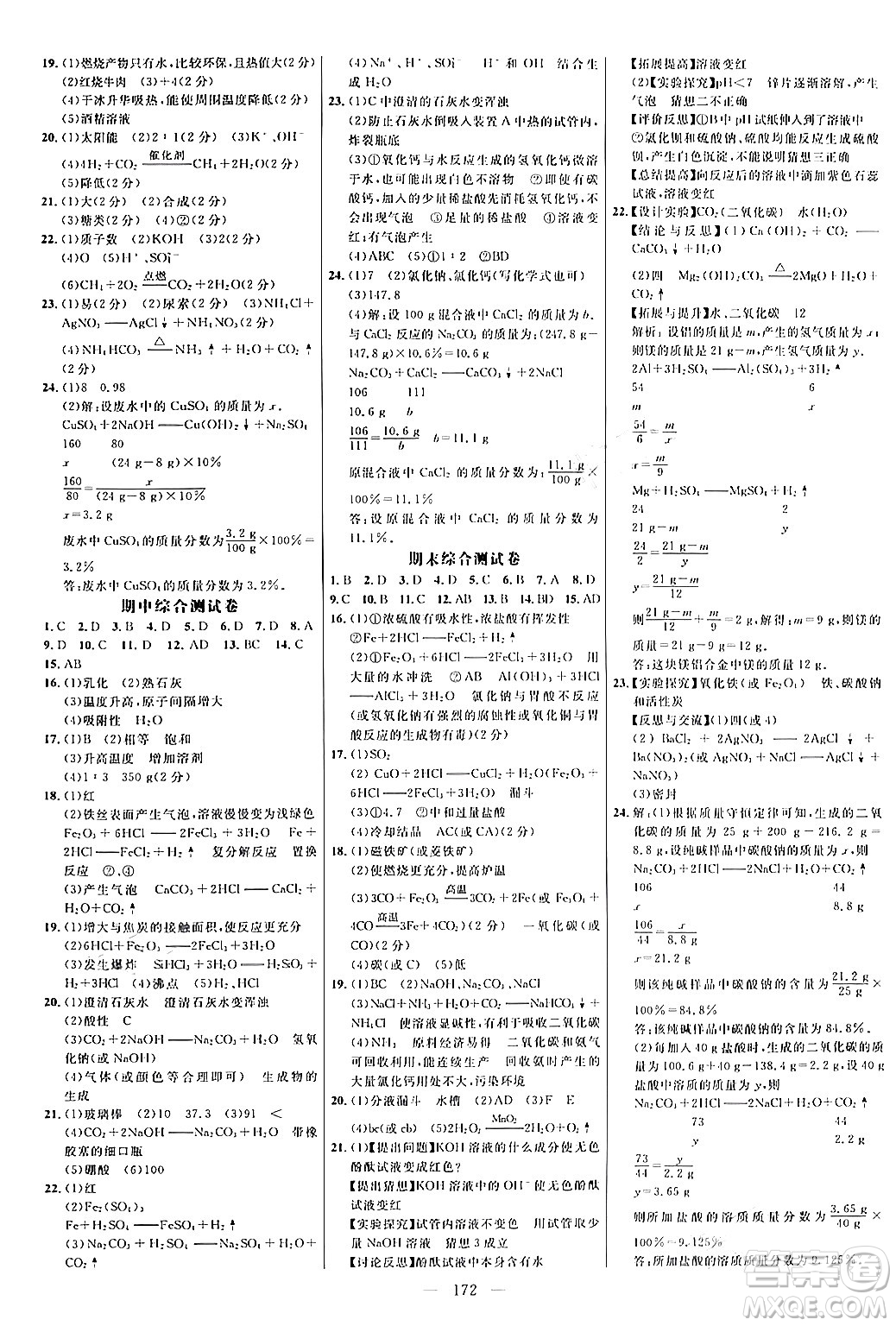 延邊大學出版社2024年春細解巧練九年級化學下冊魯教版答案