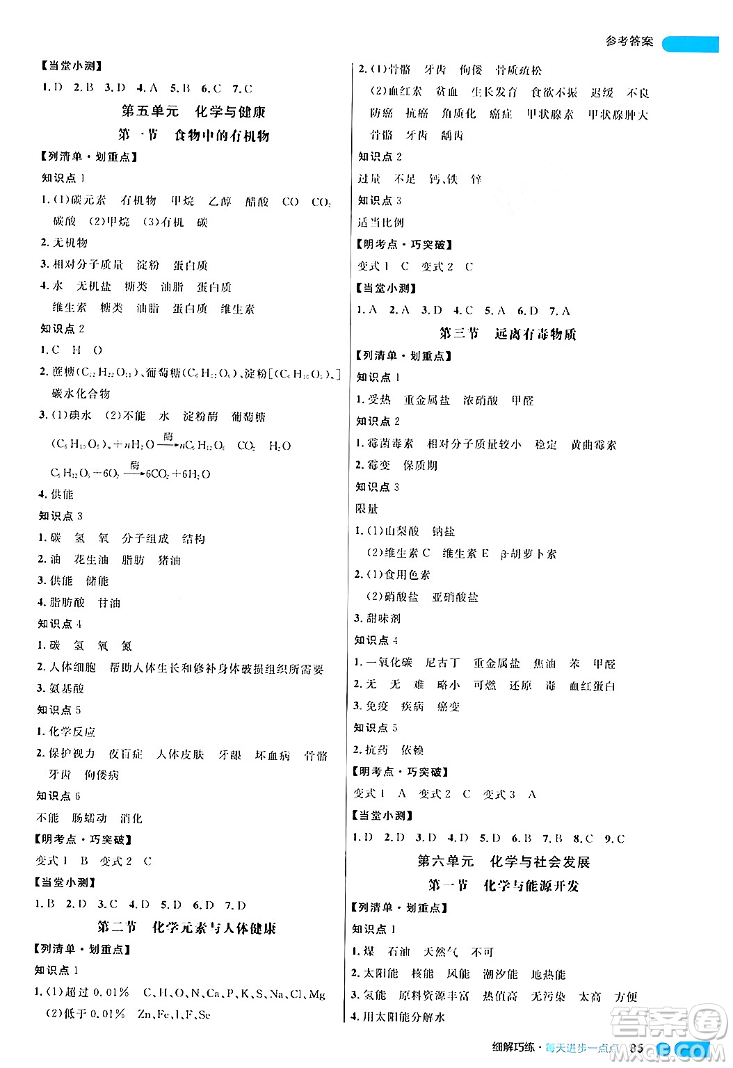 延邊大學出版社2024年春細解巧練九年級化學下冊魯教版答案