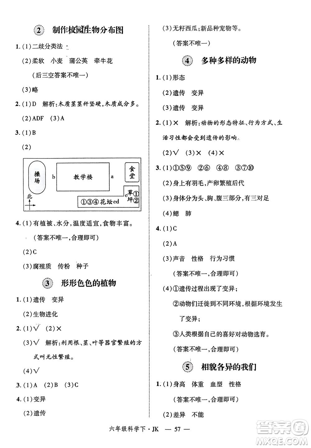 延邊大學(xué)出版社2024年春新領(lǐng)程六年級科學(xué)下冊教科版參考答案