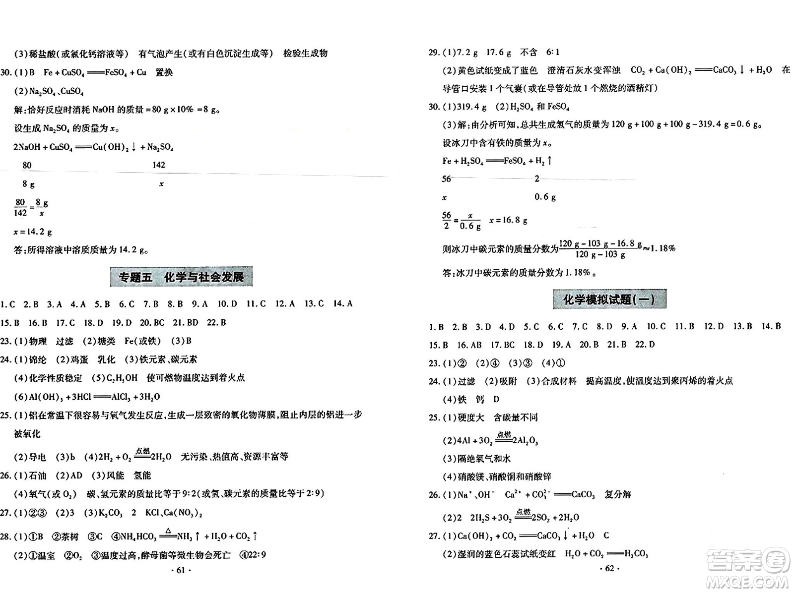 青島出版社2024年春新課堂學習與探究九年級化學下冊通用版答案