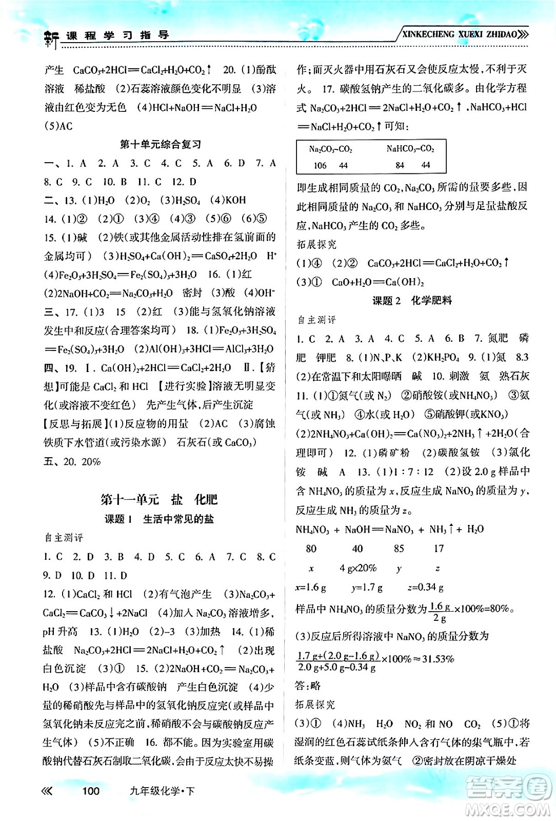 南方出版社2024年春新課程學(xué)習(xí)指導(dǎo)九年級(jí)化學(xué)下冊(cè)人教版答案