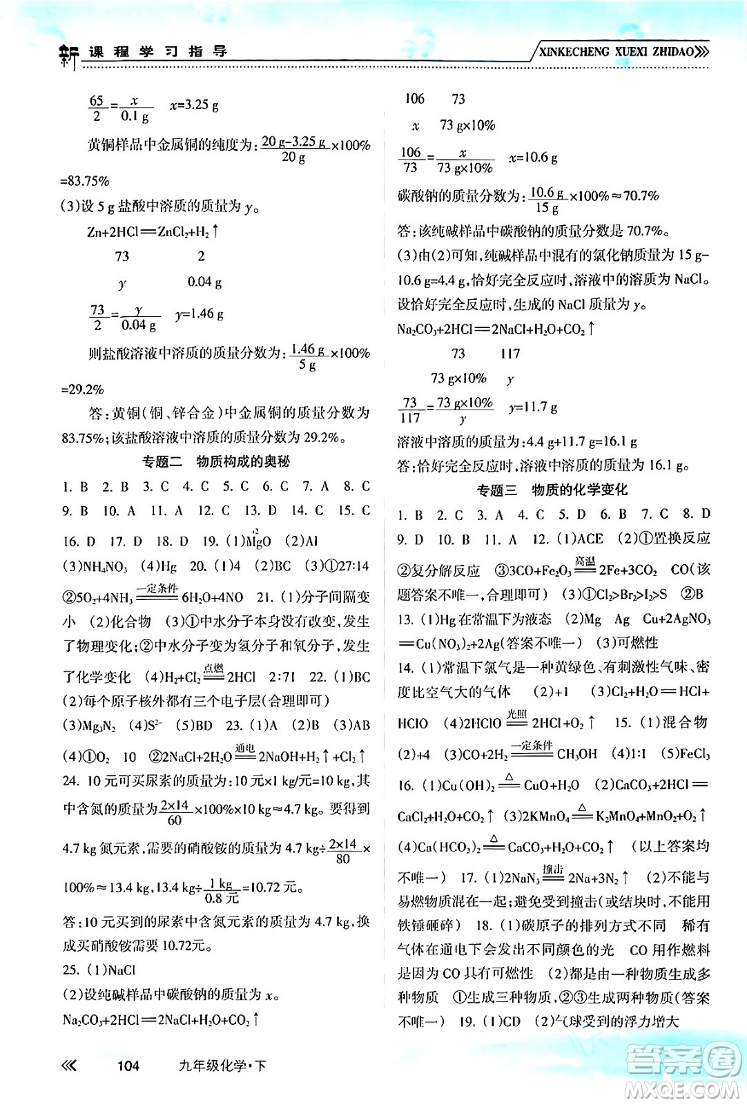 南方出版社2024年春新課程學(xué)習(xí)指導(dǎo)九年級(jí)化學(xué)下冊(cè)人教版答案