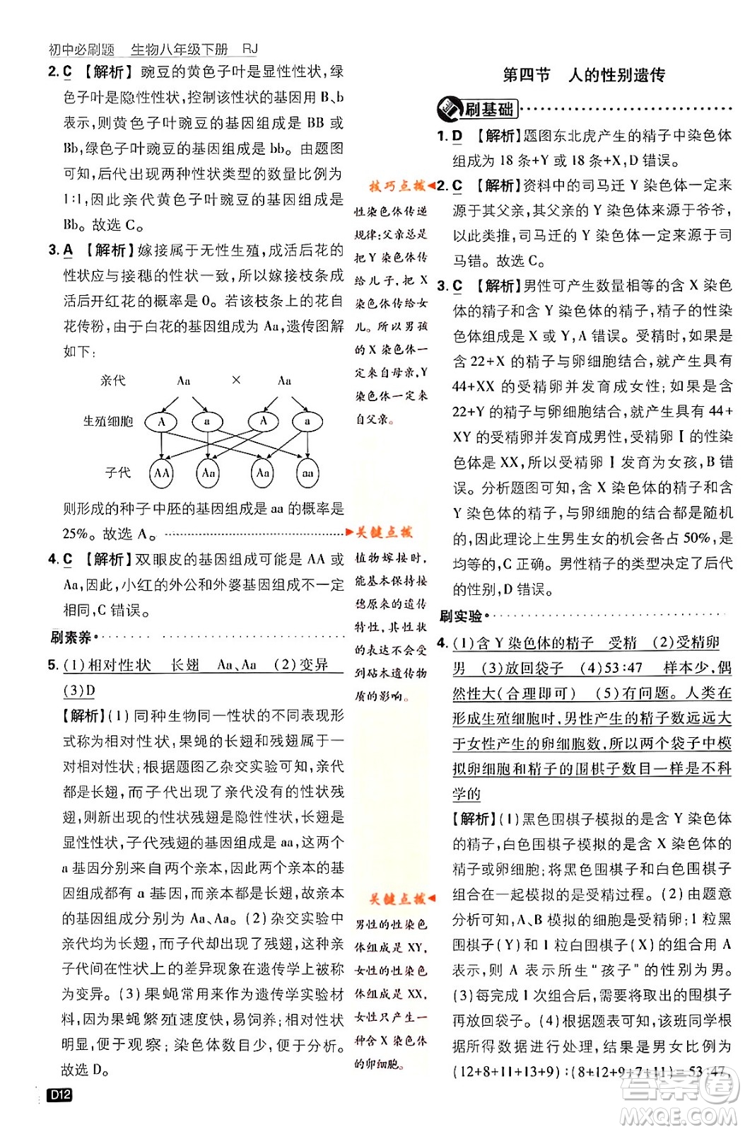 開明出版社2024年春初中必刷題八年級生物下冊人教版答案