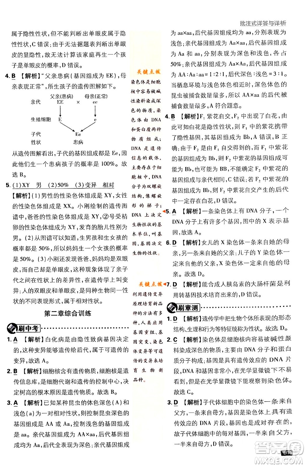 開明出版社2024年春初中必刷題八年級生物下冊人教版答案