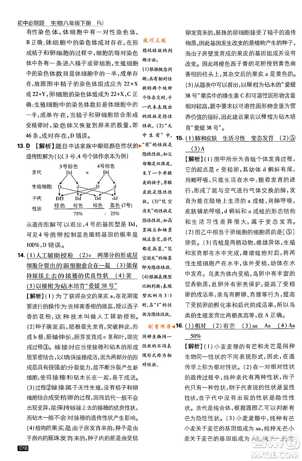 開明出版社2024年春初中必刷題八年級生物下冊人教版答案