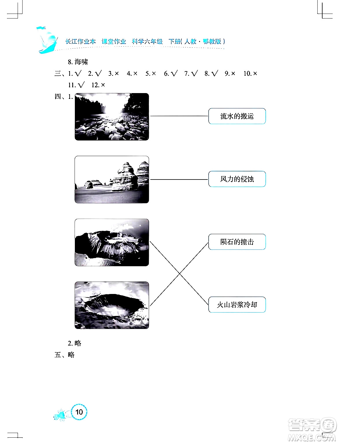 湖北教育出版社2024年春長江作業(yè)本課堂作業(yè)六年級科學下冊人教鄂教版答案