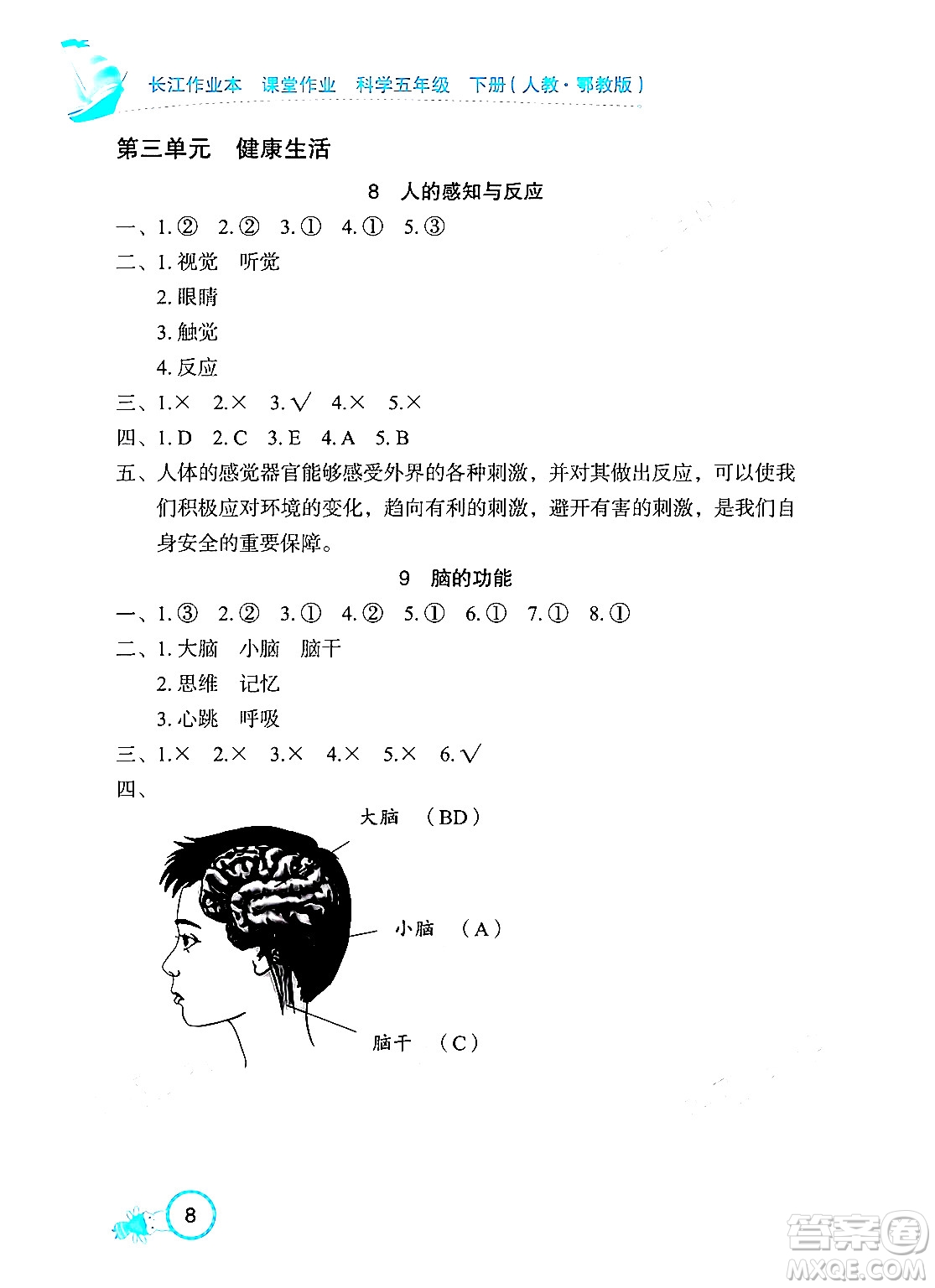 湖北教育出版社2024年春長江作業(yè)本課堂作業(yè)五年級科學(xué)下冊人教鄂教版答案