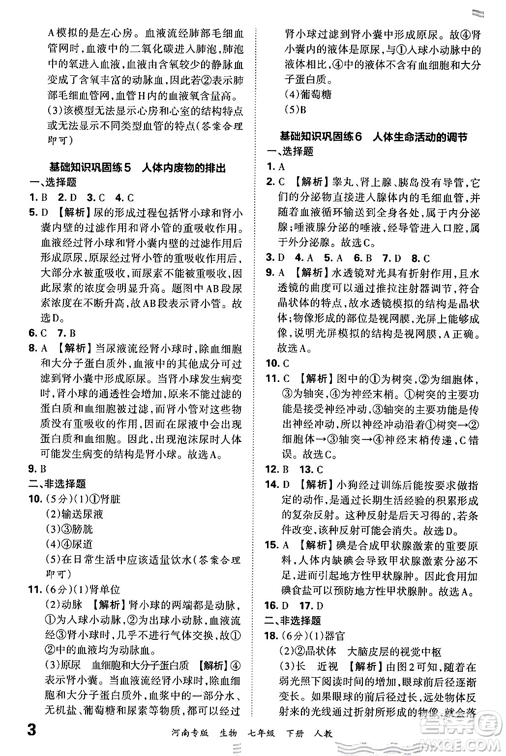 江西人民出版社2024年春王朝霞各地期末試卷精選七年級生物下冊人教版河南專版答案