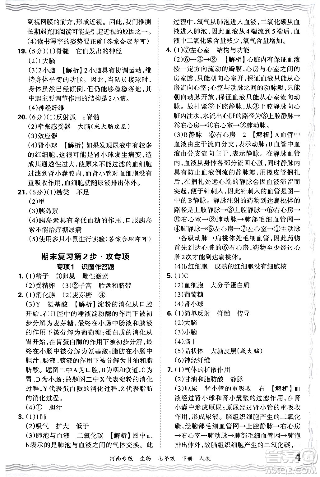 江西人民出版社2024年春王朝霞各地期末試卷精選七年級生物下冊人教版河南專版答案