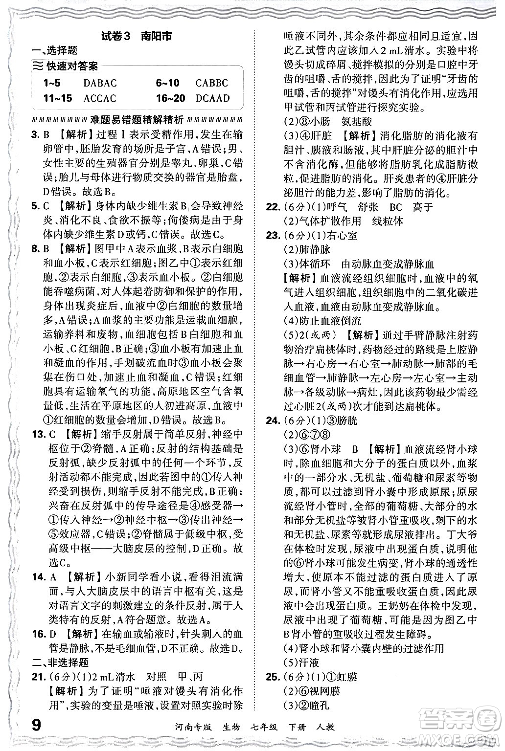 江西人民出版社2024年春王朝霞各地期末試卷精選七年級生物下冊人教版河南專版答案