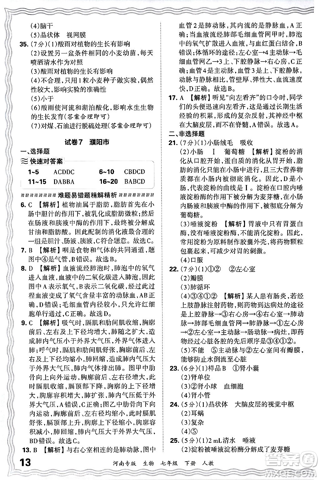 江西人民出版社2024年春王朝霞各地期末試卷精選七年級生物下冊人教版河南專版答案