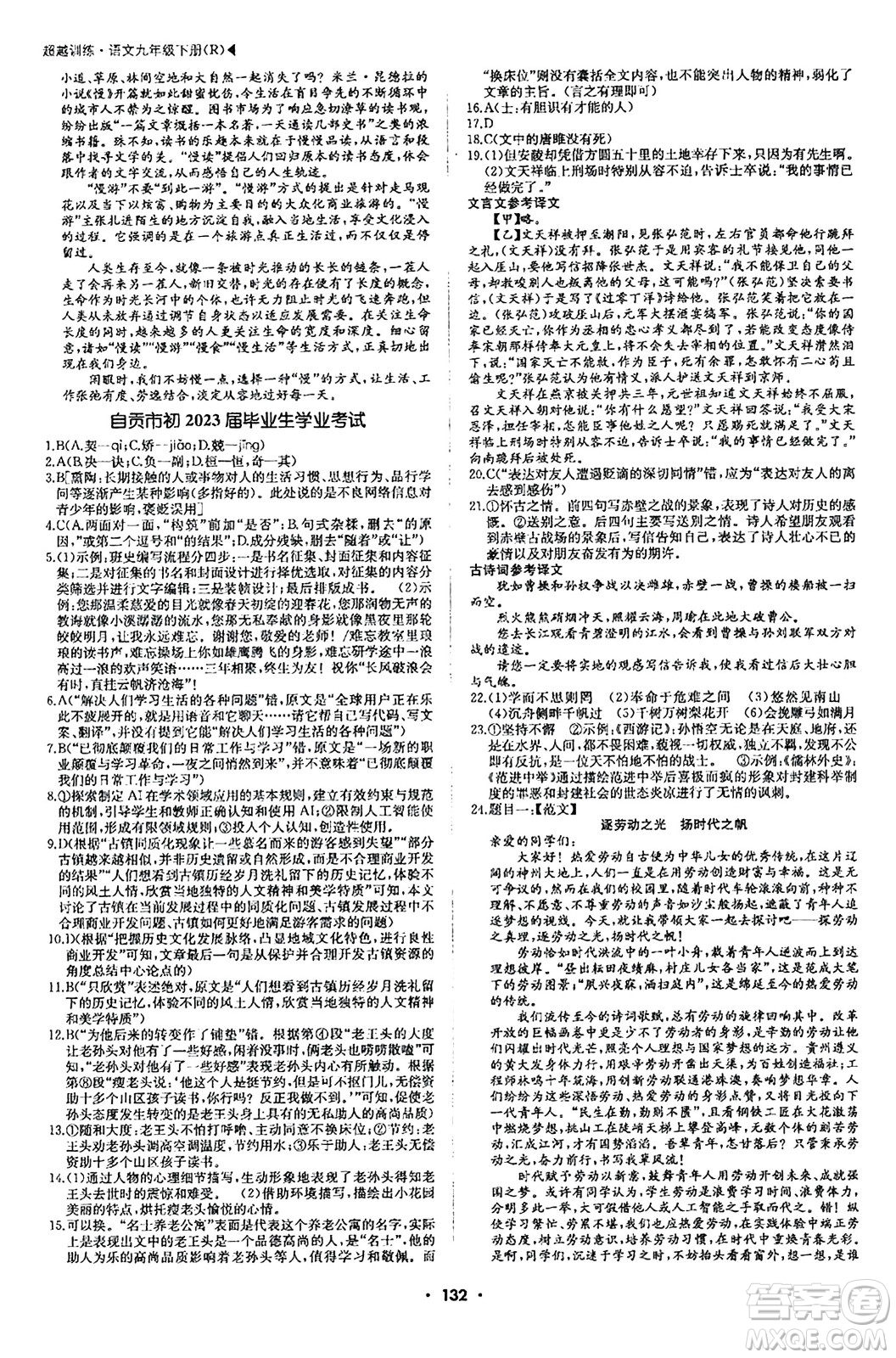 內(nèi)蒙古大學(xué)出版社2024年春超越訓(xùn)練九年級語文下冊人教版答案