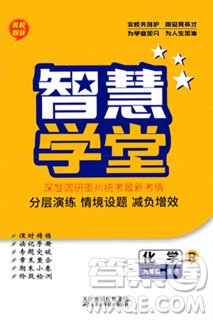 天津科學技術出版社2024年春名校智慧智慧學堂九年級化學下冊人教版答案