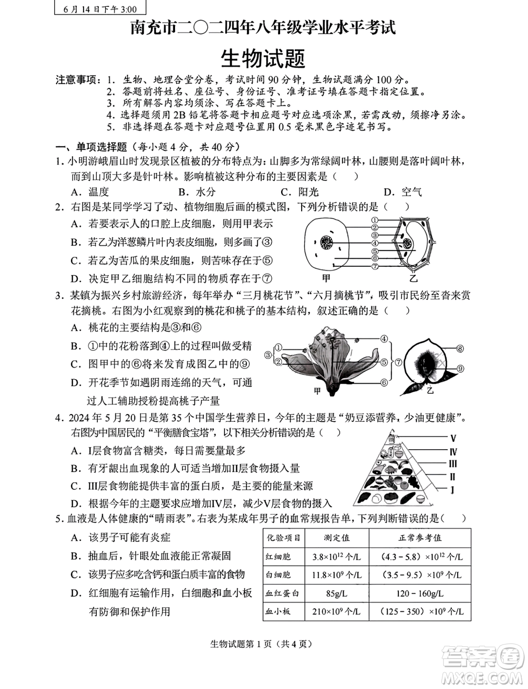 2024南充中考生物真題答案