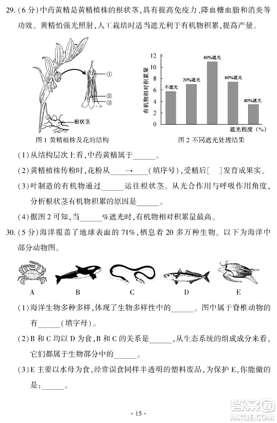 2024福建中考生物真題答案