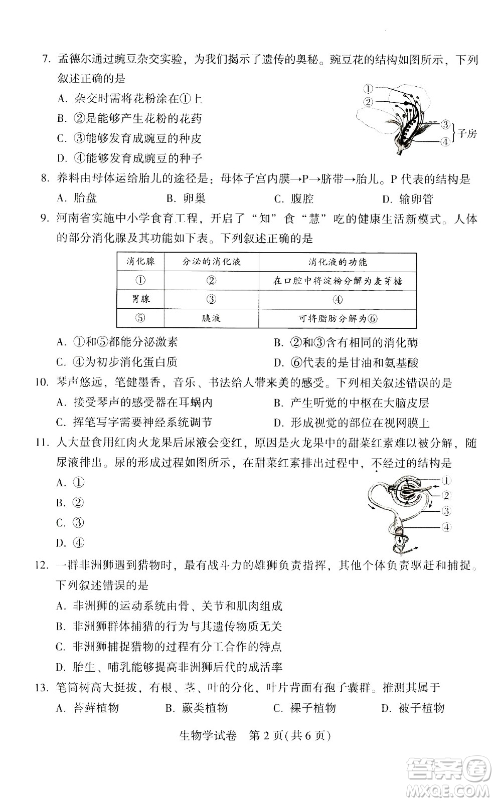 2024河南中考生物真題答案