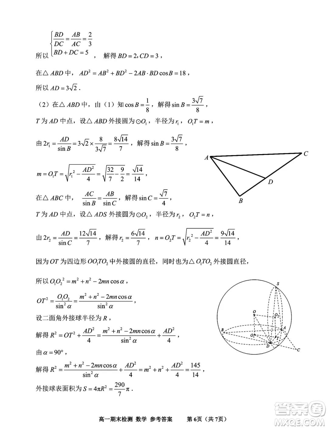 浙江嘉興2024年高一下學(xué)期6月期末檢測數(shù)學(xué)試題答案