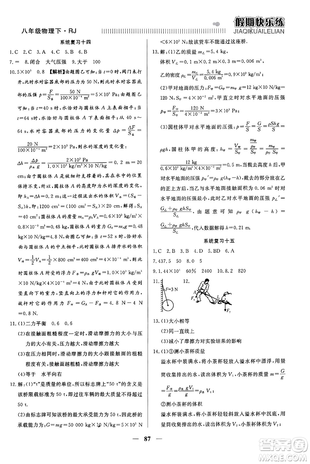 天津科學(xué)技術(shù)出版社2024年春金優(yōu)教輔假期快樂練八年級(jí)物理人教版答案