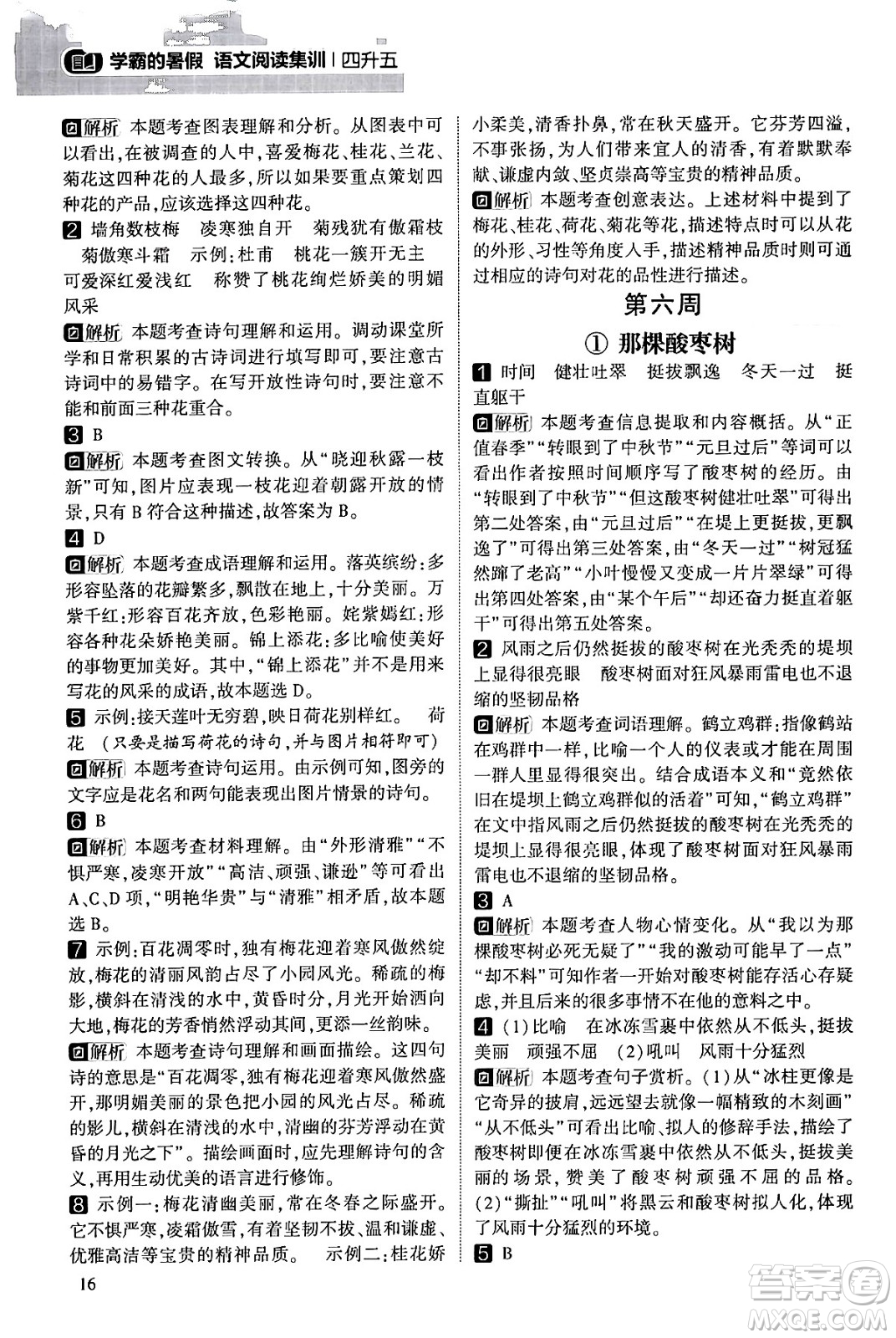 寧夏人民教育出版社2024年春經(jīng)綸學(xué)霸學(xué)霸的暑假語文閱讀集訓(xùn)四升五年級語文人教版答案