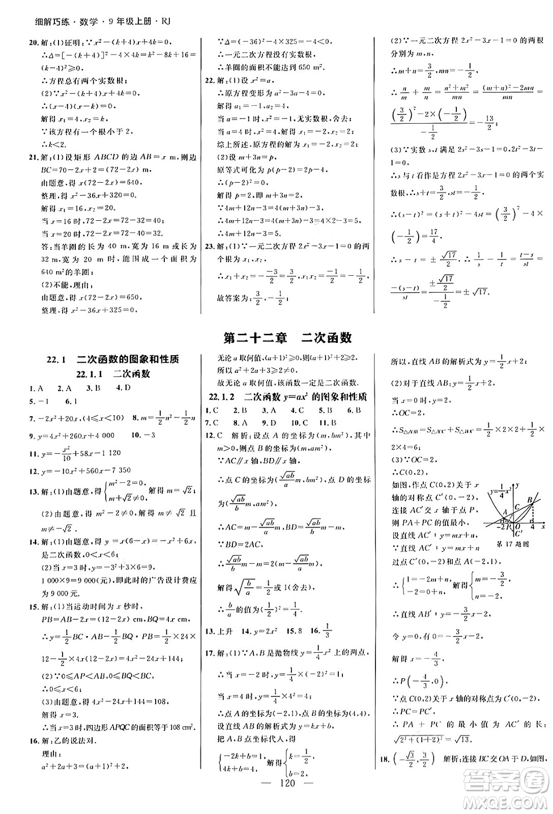 延邊大學(xué)出版社2024年秋細(xì)解巧練九年級數(shù)學(xué)上冊人教版答案