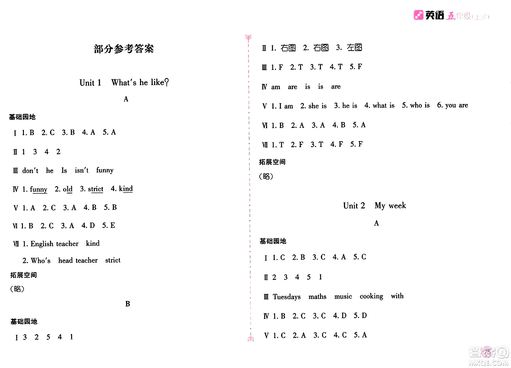 安徽少年兒童出版社2024年秋新編基礎(chǔ)訓(xùn)練五年級英語上冊人教版答案