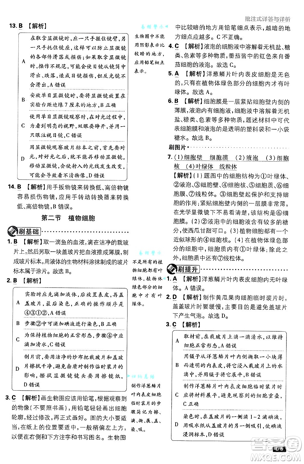 開明出版社2025屆初中必刷題拔尖提優(yōu)訓(xùn)練七年級生物上冊人教版答案