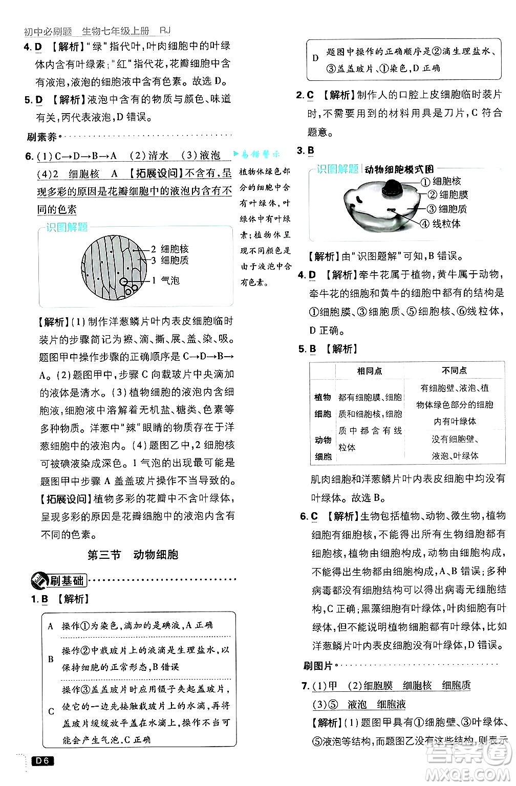 開明出版社2025屆初中必刷題拔尖提優(yōu)訓(xùn)練七年級生物上冊人教版答案