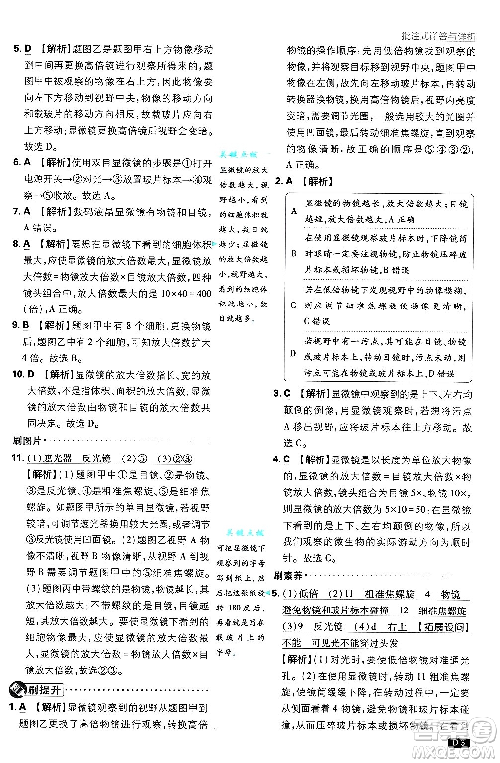 開明出版社2025屆初中必刷題拔尖提優(yōu)訓(xùn)練七年級生物上冊人教版答案